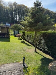 Pachtgarten zur Übernahme – Foto 5