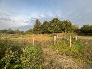 Offenstall mit ca. 1,5 ha Weide zu verpachten, Selbstversorger! – Foto 4