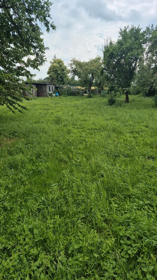 Pachtgarten
