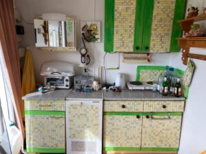 Schöner, ruhiger Pachtgarten (200qm) mit herrlichem Ausblick – Foto 4