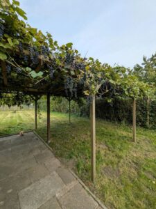 Gepflegter Pacht Garten mit Haus in Bremen-Gröpelingen abzugeben – Foto 2