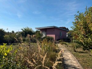 Kleingarten- Pachtgarten – Foto 3