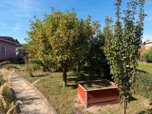Kleingarten- Pachtgarten – Foto 4