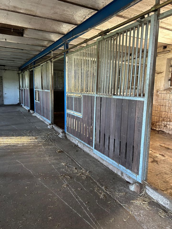 Pferdeboxen/Stallungen für Tiere zu verpachten