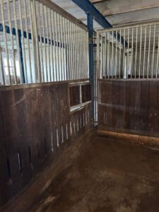 Pferdeboxen/Schafboxen/Ziegenboxen zu verpachten – Foto 2
