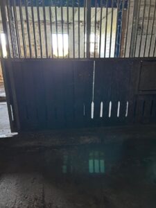 Pferdeboxen/Schafboxen/Ziegenboxen zu verpachten – Foto 3