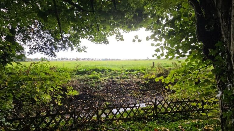 Gartenpacht abzugeben