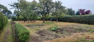 Gartenparzelle zur Pacht – Foto 3