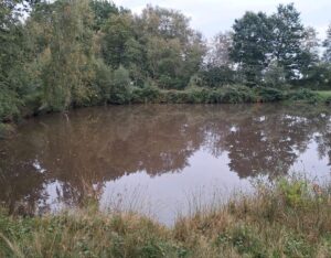 Teichgelände zu verpachten – Foto 2