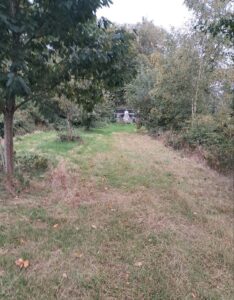 Teichgelände zu verpachten – Foto 3