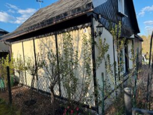 Pachtgarten/ Kleingarten – Foto 4