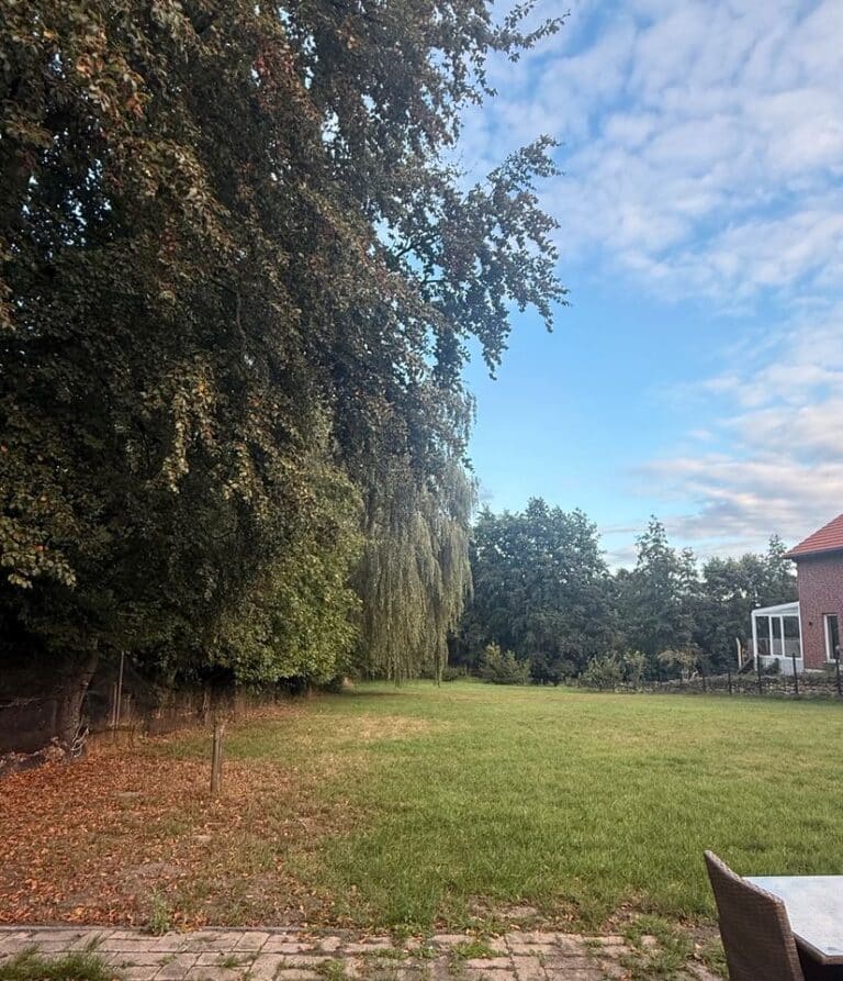 Wiese zu verpachten für Schafe, Pferde o.ä