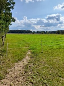 Weide zu verpachten – Foto 3