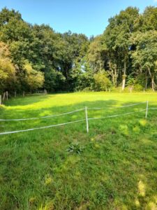 Weide zu verpachten – Foto 4
