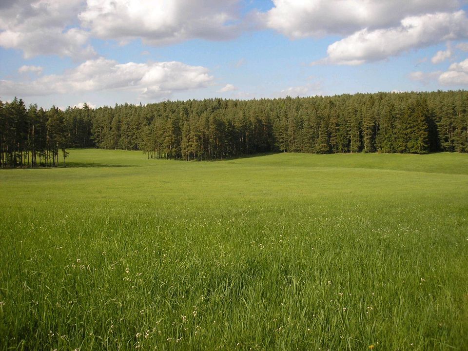 Wiese/Pachtland/ Forstwirtschaftl. Fläche gesucht