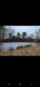 Weiher Teich Freizeitgrundstück zu verpachten