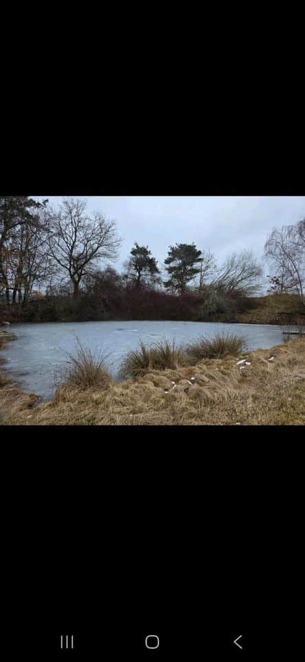 Weiher Teich Freizeitgrundstück zu verpachten
