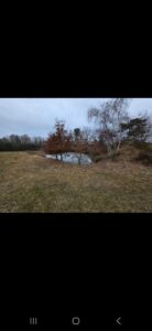 Weiher Teich Freizeitgrundstück zu verpachten – Foto 3