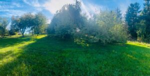 Obstbaumgrundstück zu verpachten – Foto 4