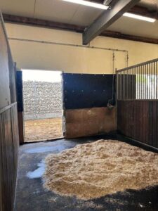 Reitstall zuverpachten – Foto 3