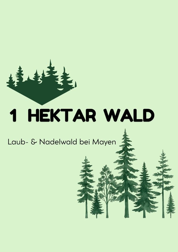 1ha Wald (Laub- & Nadel) bei Mayen | Pacht bushcraft o. ä.