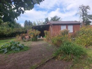Einfacher Pachtgarten in Peitz zu verschenken – Foto 3