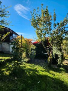 Kleingarten/Pachtgarten in Meiningen-Am Stiefelsgraben abzugeben – Foto 2