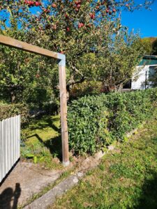 Kleingarten/Pachtgarten in Meiningen-Am Stiefelsgraben abzugeben – Foto 4