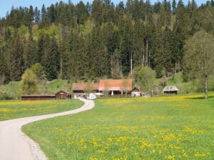 Badwirtschaft Malleichen Traditionsgaststätte mit Biergarten im Allgäu – Foto 3
