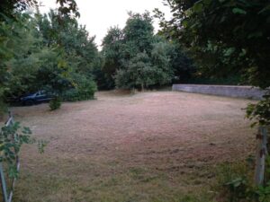 Pachtgrundstücke nähe Edersee in 34549 Hemfurth für Tiny- Cube oder Modulhäuser – Foto 2