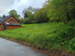 Tiny House / Modulhaus-Stellplatz in Hochstetten-Dhaun zur Pacht – Foto 3