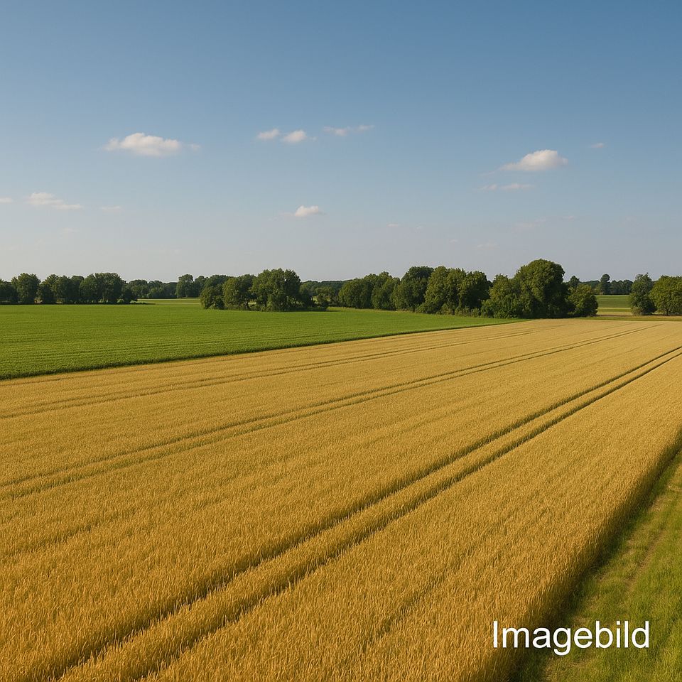 Landwirtschaftliche Nutzflächen zur Verpachtung Gemarkung Liebenthal, Gemeinde Heiligengrabe