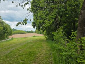 Natur, Freiheit, Perspektive – großzügiges Grundstück für Ihre Ideen – Foto 2