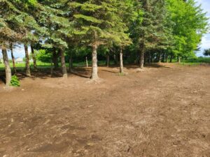 Pferdestallanlage mit Weideflächen in Kriebstein OT Ehrenberg zur Pacht! – Foto 3