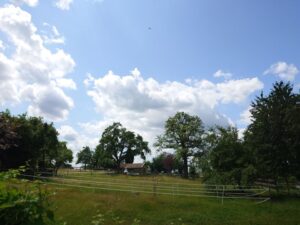 Selbstversorgerstall in 74632 Neuenstein-Eschelbach zu verpachten – Foto 3