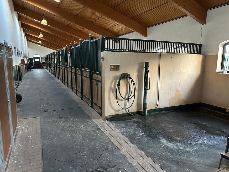 Stallgasse mit 9 Boxen ab November zu verpachten