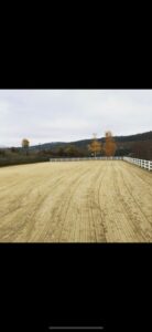 Stallgasse mit 9 Boxen ab November zu verpachten – Foto 3