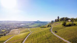 Weinberg in Großbottwar im Bottwartal zu verpachten