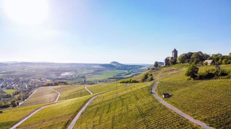 Weinberg in Großbottwar im Bottwartal zu verpachten