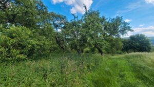 Grundstück Grünfläche Wiese Garten Freizeit Rotenburg Lispenhause – Foto 4