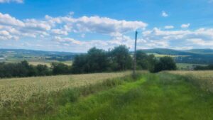 Grundstück Grünfläche Wiese Garten Freizeit Rotenburg Lispenhause – Foto 5