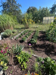 Gepflegter Pachtgarten nahe Lubmin/Ostsee- komplett ausgestattet – Foto 5