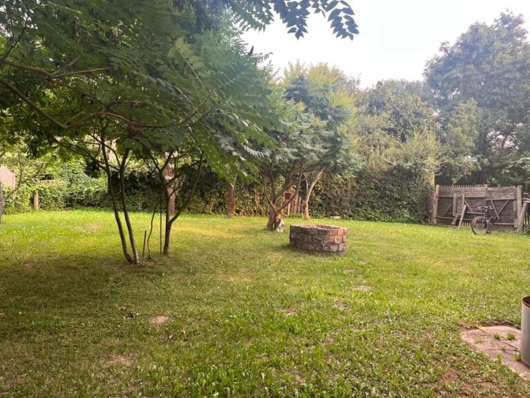 Biete Pachtgarten in Jena Wiesenstraße