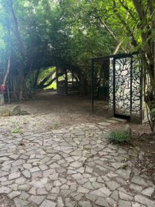 Biete Pachtgarten in Jena Wiesenstraße – Foto 4
