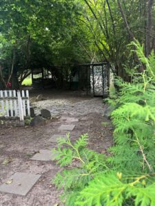 Biete Pachtgarten in Jena Wiesenstraße – Foto 5