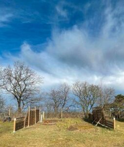 Dauercampingplatz in Kamminke auf Usedom (Pacht) – Foto 3