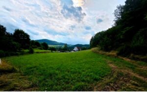 Wiese in Hatzfeld Holzhausen zu verpachten – Foto 2