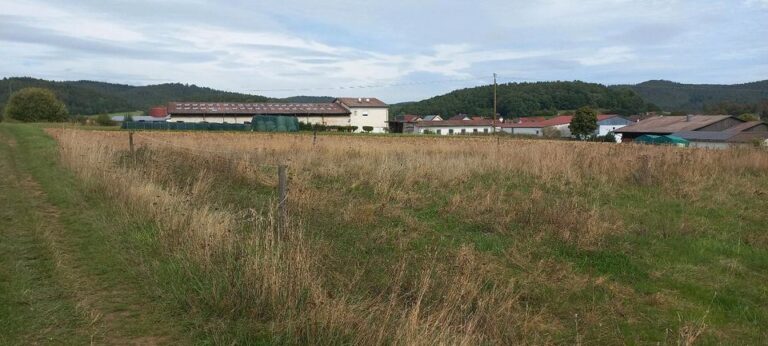 pferdekoppel zu verpachten in Oberrosphe