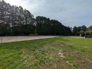 Pachtland/ Weidefläche/ Wiese / Pferde/Pony/Schafe