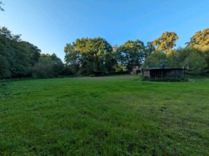Pachtland/ Weidefläche/ Wiese / Pferde/Pony/Schafe – Foto 2
